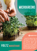 mikrozöldségek